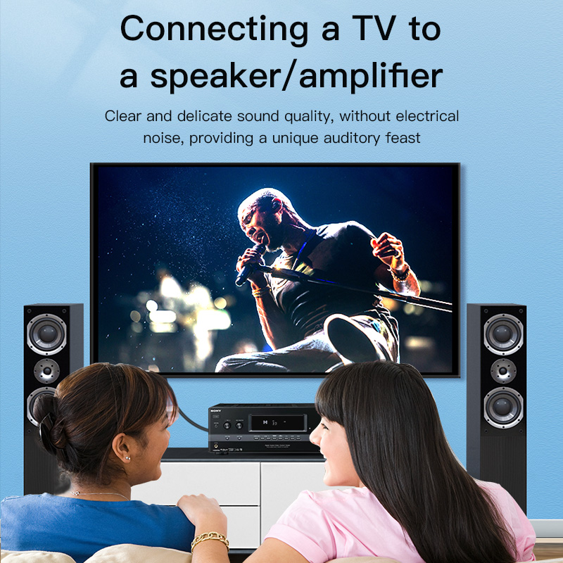 Kabel RCA Digital Coaxial Audi – Home Cinema Solution recenzja i cena
